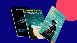 Gelesene Bücher im Februar als Buchcover - Geboren für die großen Chancen, Windstärke 17 und Eidolon